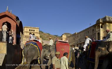 04 Fort_Amber_and Elephants,_Jaipur_DSC4975_b_H600